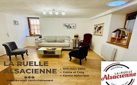 LA RUELLE ALSACIENNE, Appartement Cosy au Calme, Centre Historique, Route des Vins