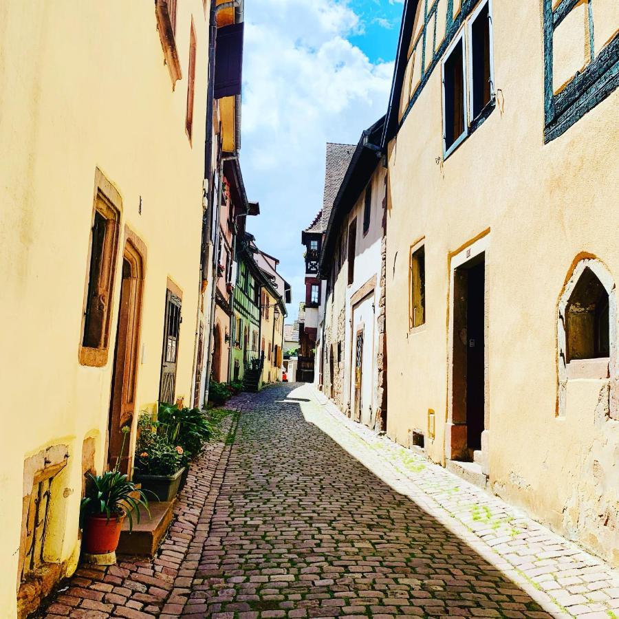 LA RUELLE ALSACIENNE, Appartement Cosy au Calme, Centre Historique, Route des Vins Riquewihr Extérieur photo